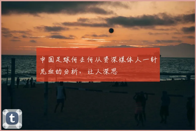 中国足球何去何从资深媒体人一针见血的分析，让人深思